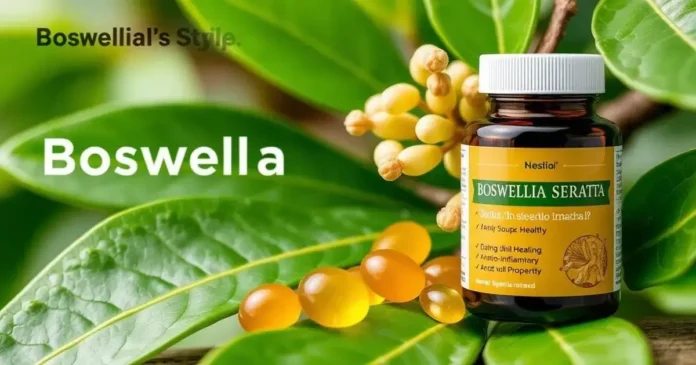 Benefits of Boswellia Serrata for Joint Health